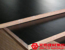 木模板的材料有哪些？各自有什么特點(diǎn)？